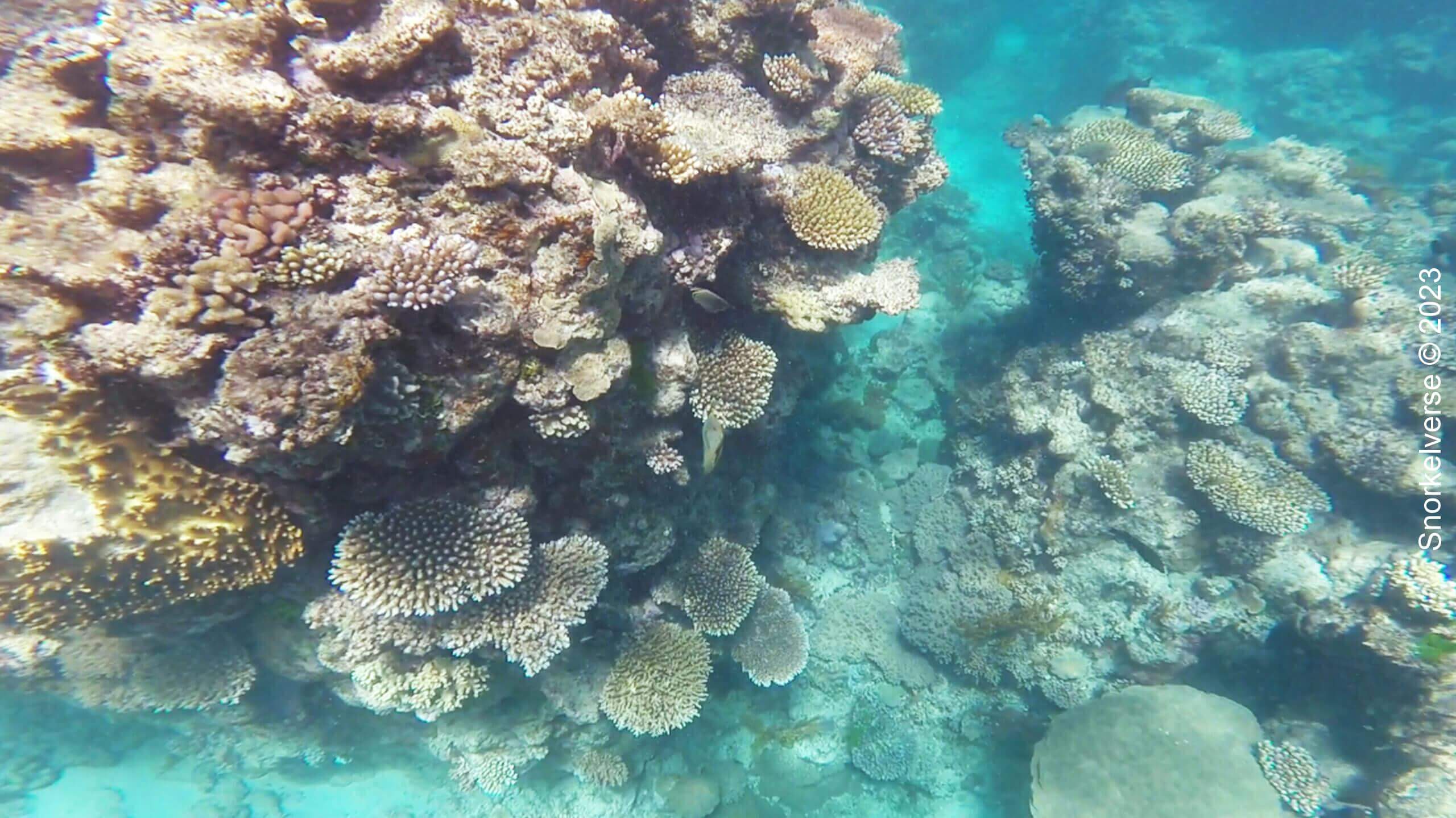 Great Barrier Reef