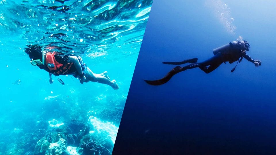 Snorkelling Vs Diving