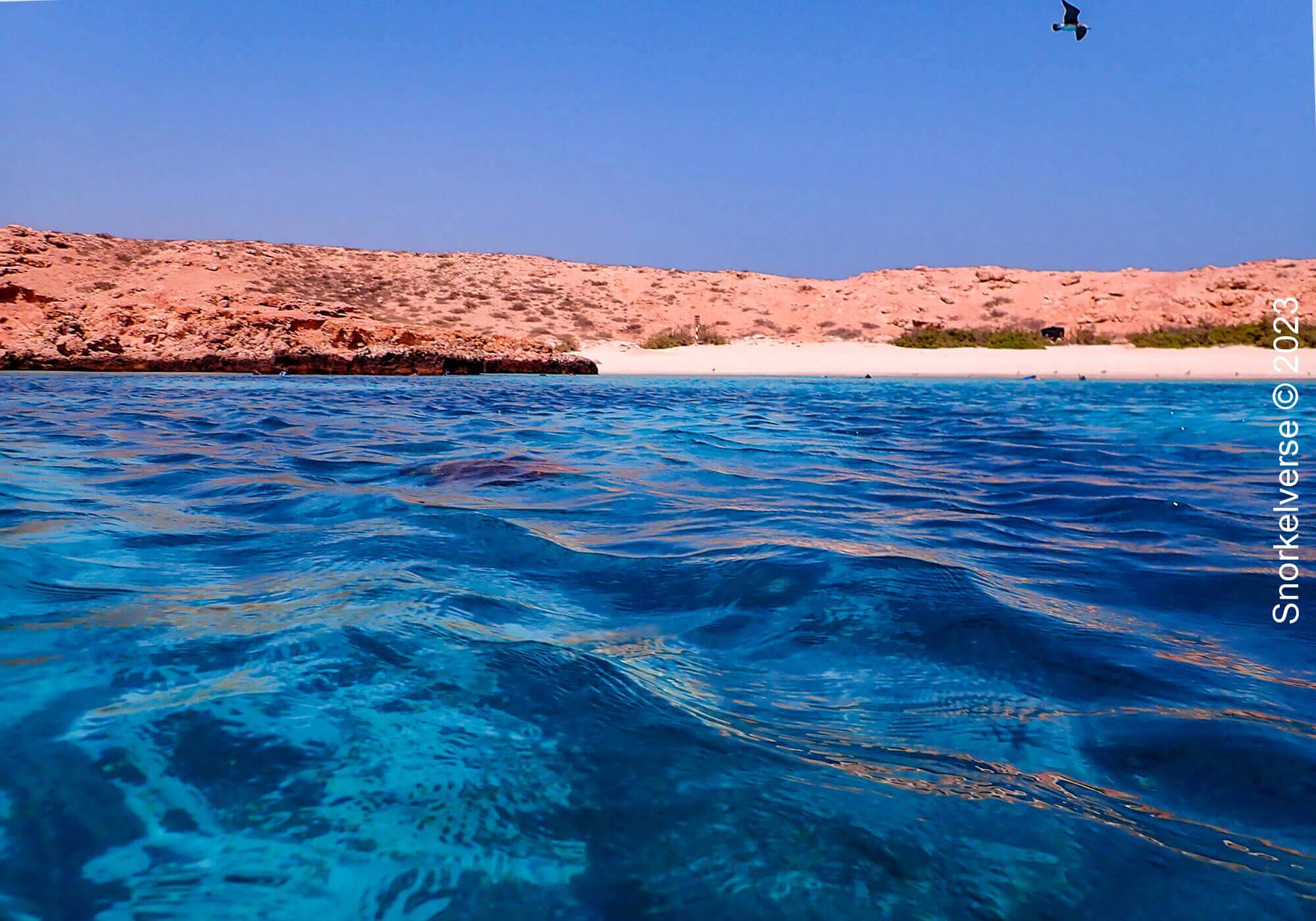 Daymaniat Islands Snorkel