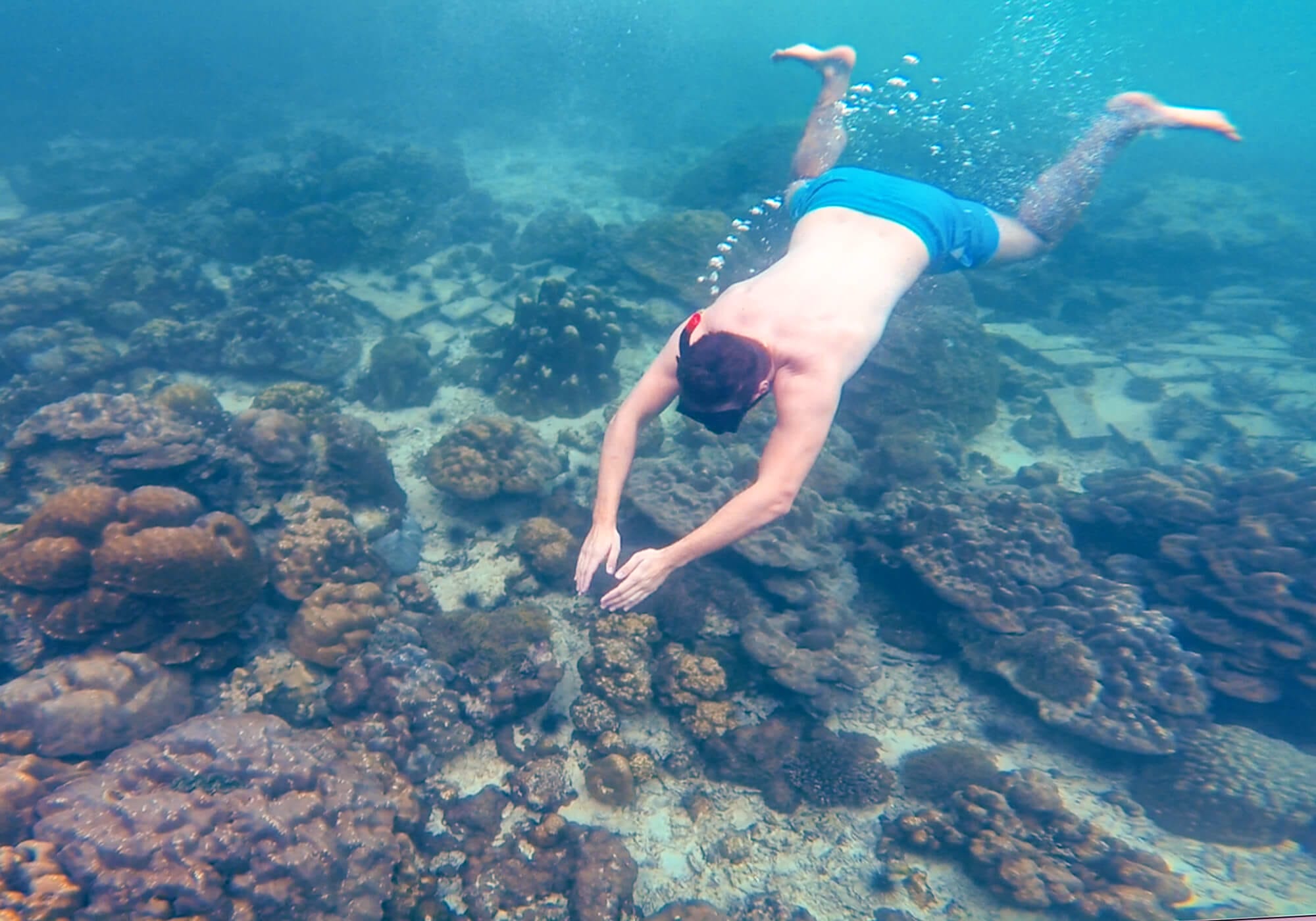 Snorkeling Phi Phi Islands