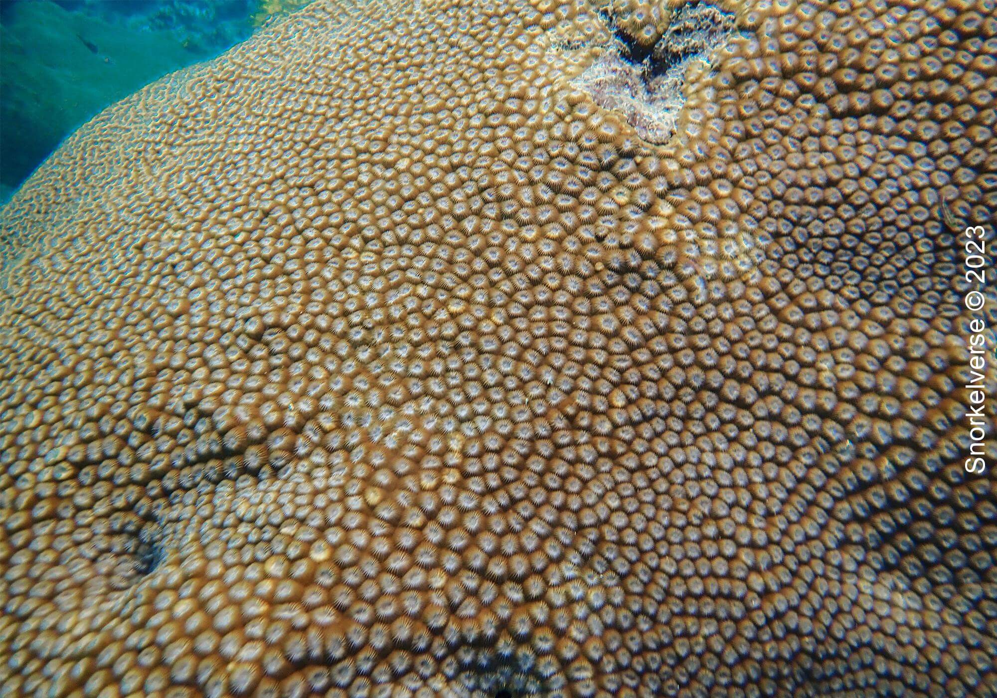 Snorkeling Viking Cave in Phi Phi Islands 31 Boulder Star Viking Cave 1