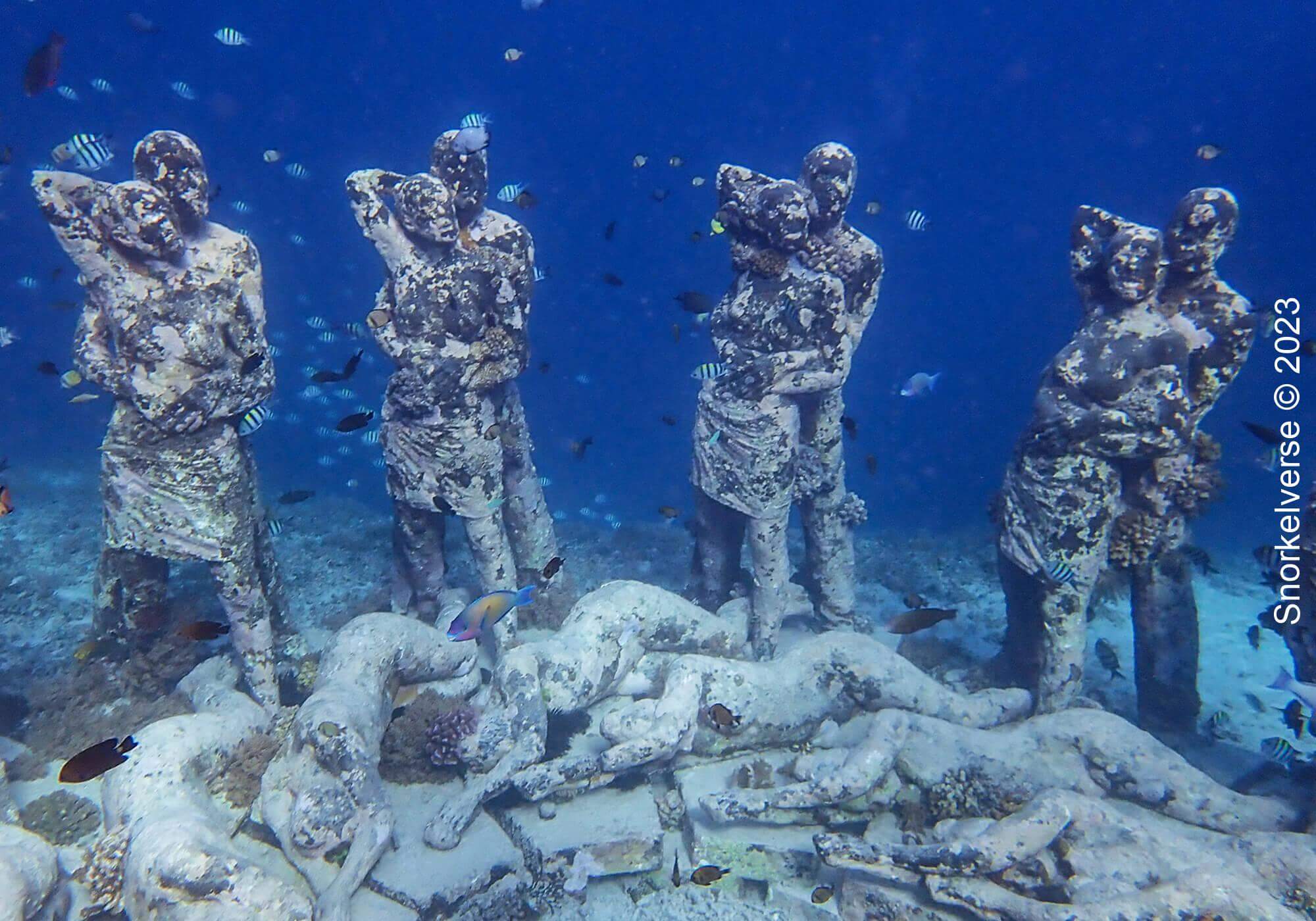 Snorkeling with turtles at Gili Meno 23 Nest Underwater Statues Figures