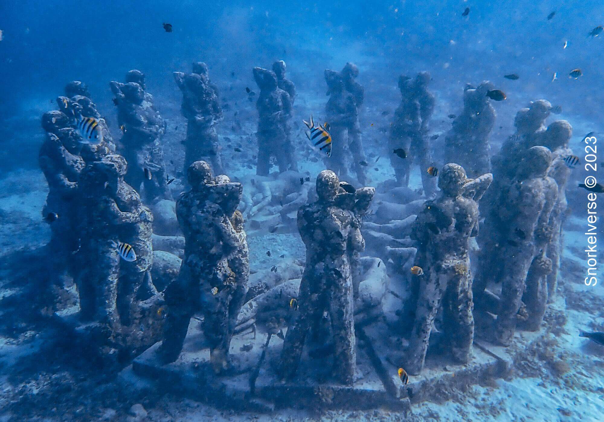 Snorkeling with turtles at Gili Meno 20 Nest Underwater Statues, Gili Meno, Bali