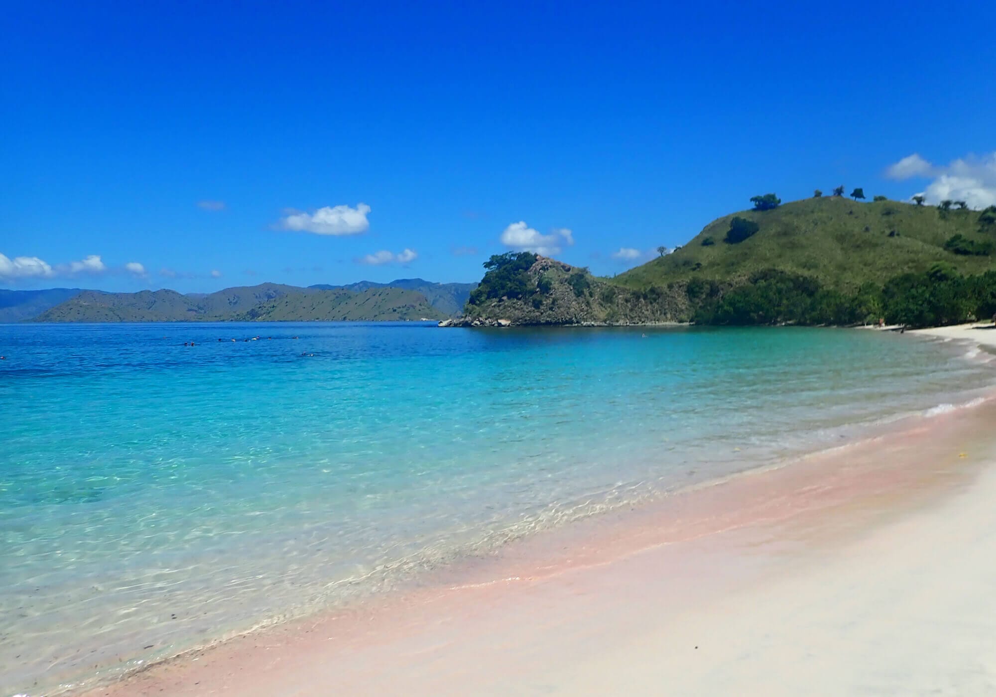 Snorkeling the enchanting Pink Beach, Komodo Islands 15 Snorkel Spot, Pink Beach, Komodo National Park