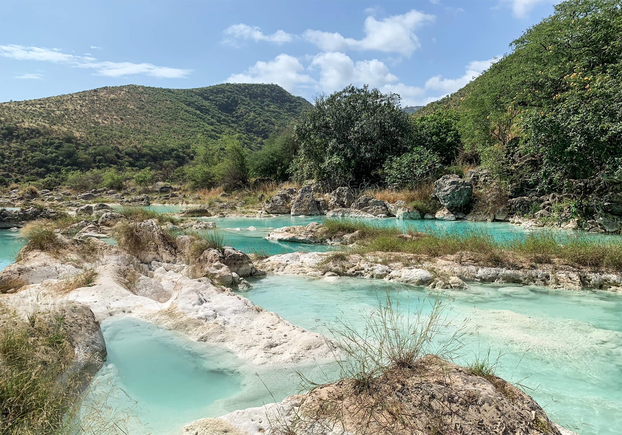 Wadi Dharbat Wadi's