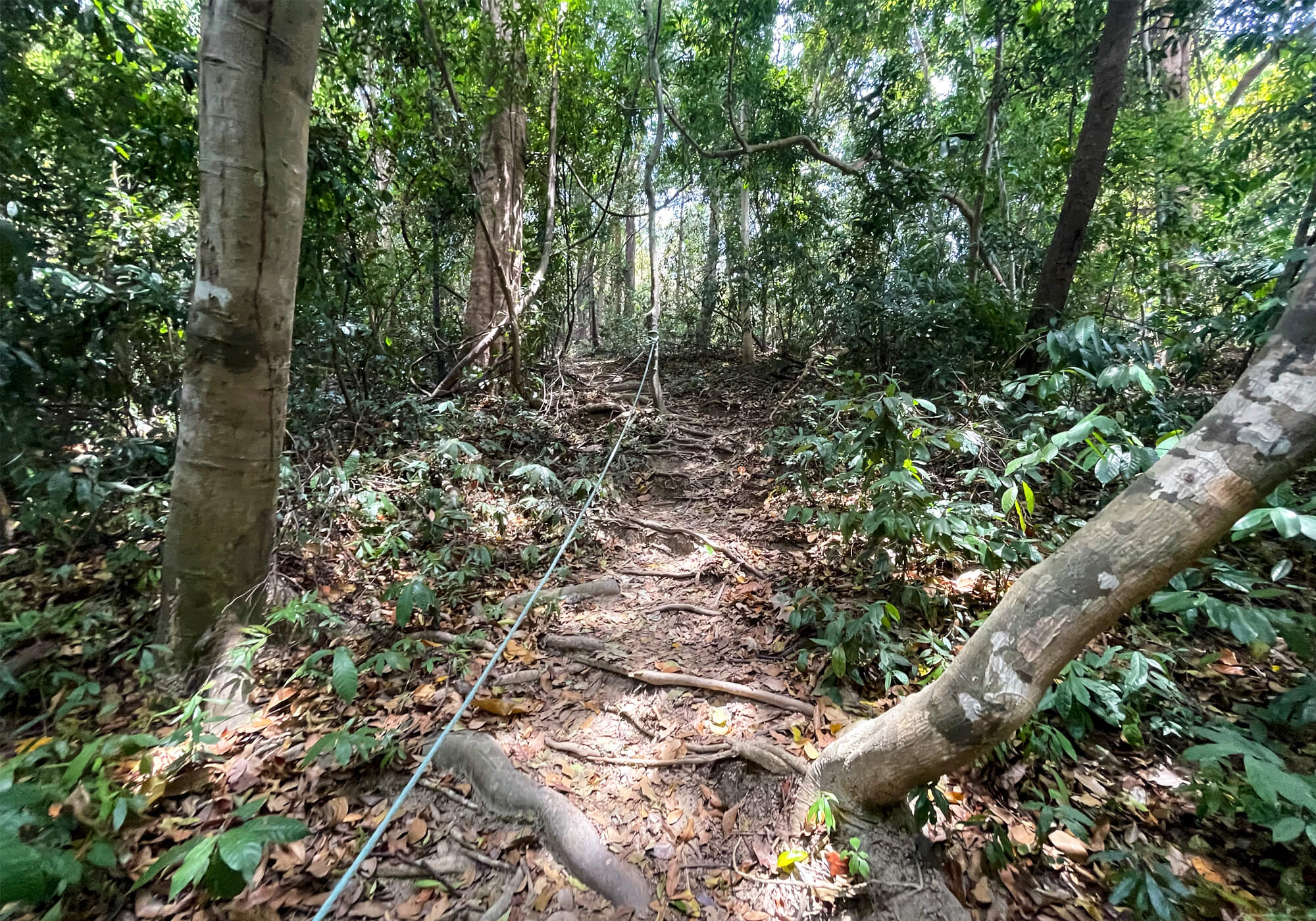 Hiking the island of Koh Adang to the breath-taking viewpoints 12 Start of the hike to Chado Cliff Viewpoint One
