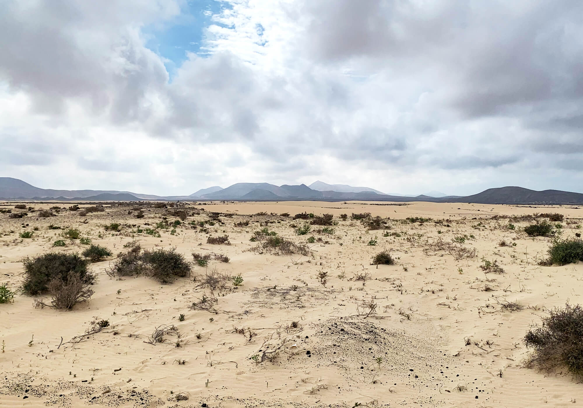 Sand Dunes of Corralejo, Fuerteventura