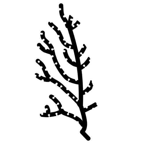 Habitat Loss Icon
