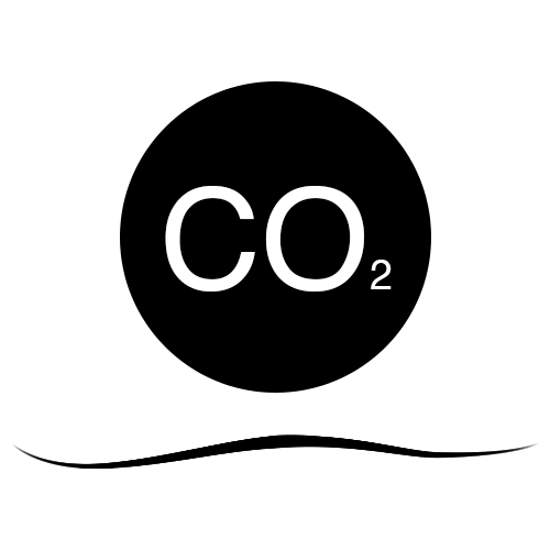 What are the top threats to coral reefs? 7 Water Acidification Icon