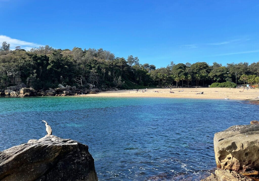Snorkeling Shelly Beach / Cabbage Tree Bay at Manly, Sydney 33 Shelly Beach, Manly, Sydney