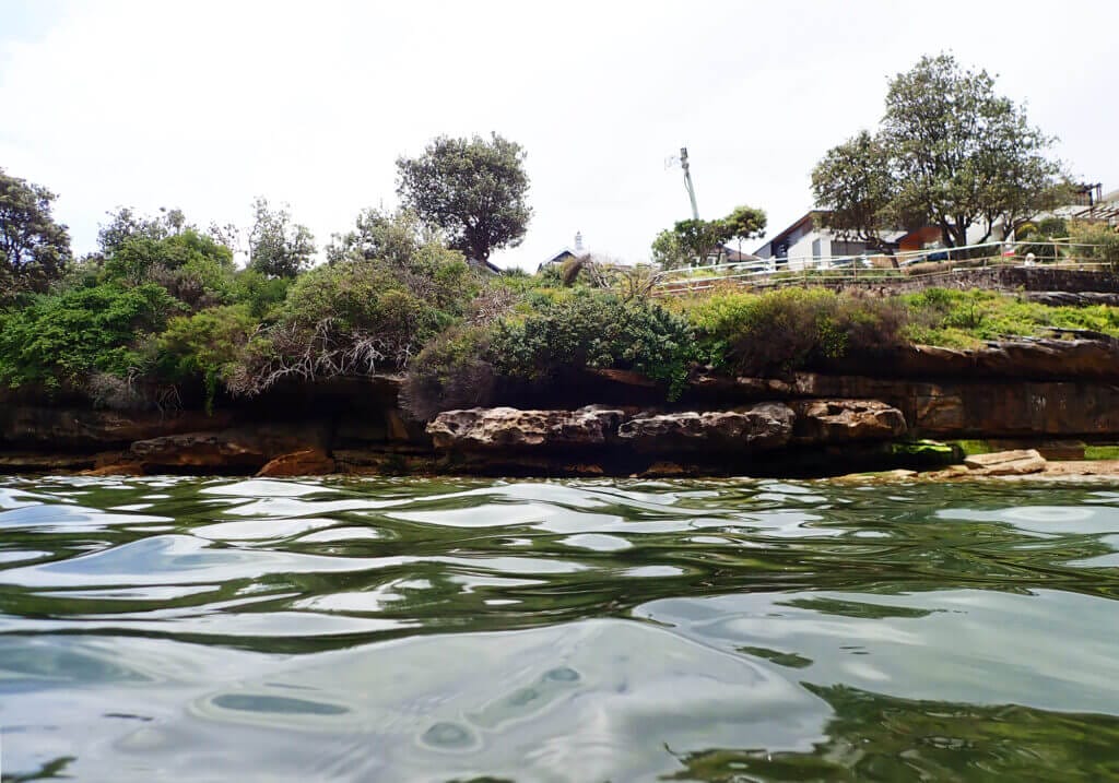 Snorkeling Clovelly Beach, Sydney 23 Snorkeling, Clovelly, Sydney