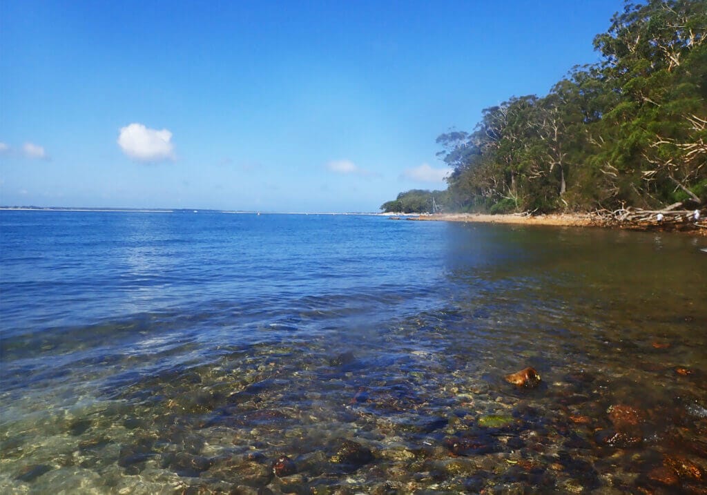 Snorkeling the magical Fly Point, Nelson Bay, Port Stephens 29 Snorkel Spot Fly Point, Nelson Bay, Port Stephens, NSW