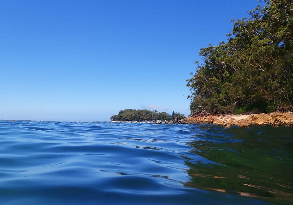 Snorkeling the magical Fly Point, Nelson Bay, Port Stephens 30 Snorkeling Fly Point Aquatic Marine Reserve, Port Stephens, NSW
