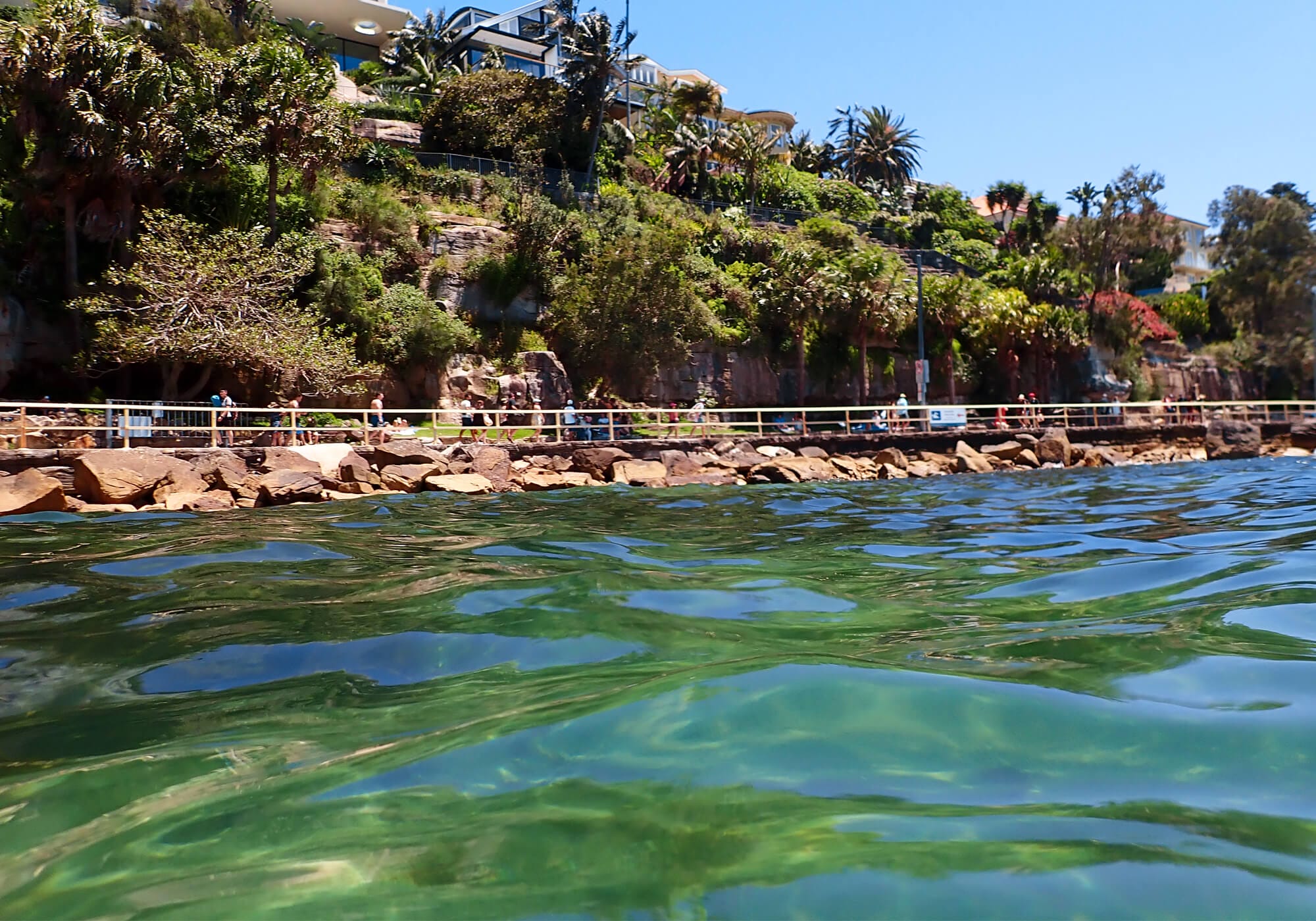 Snorkeling Shelly Beach