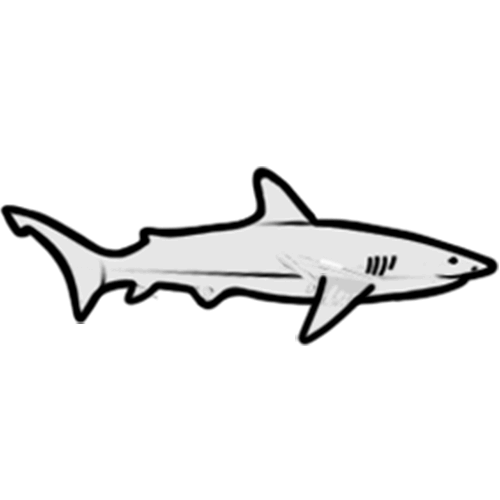 Dusky Shark Icon