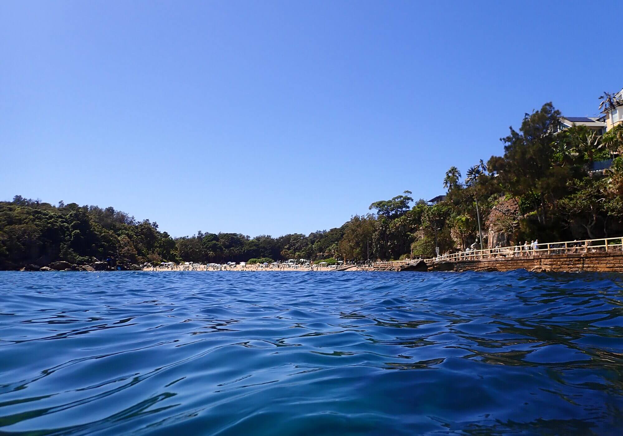 Snorkel spot, Shelly Beach, Manly, Sydney, NSW, Australia