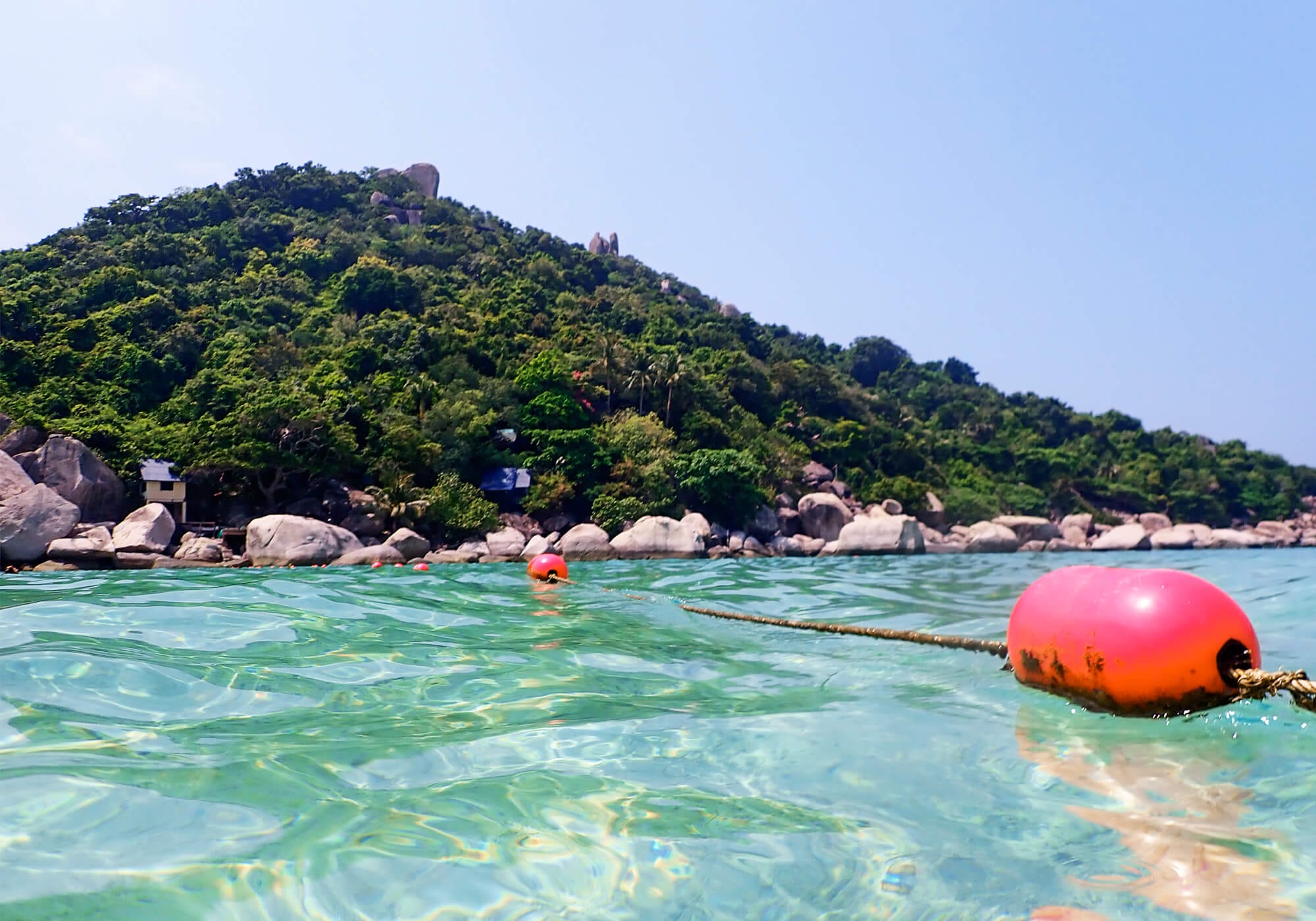Snorkeling Japanese Gardens