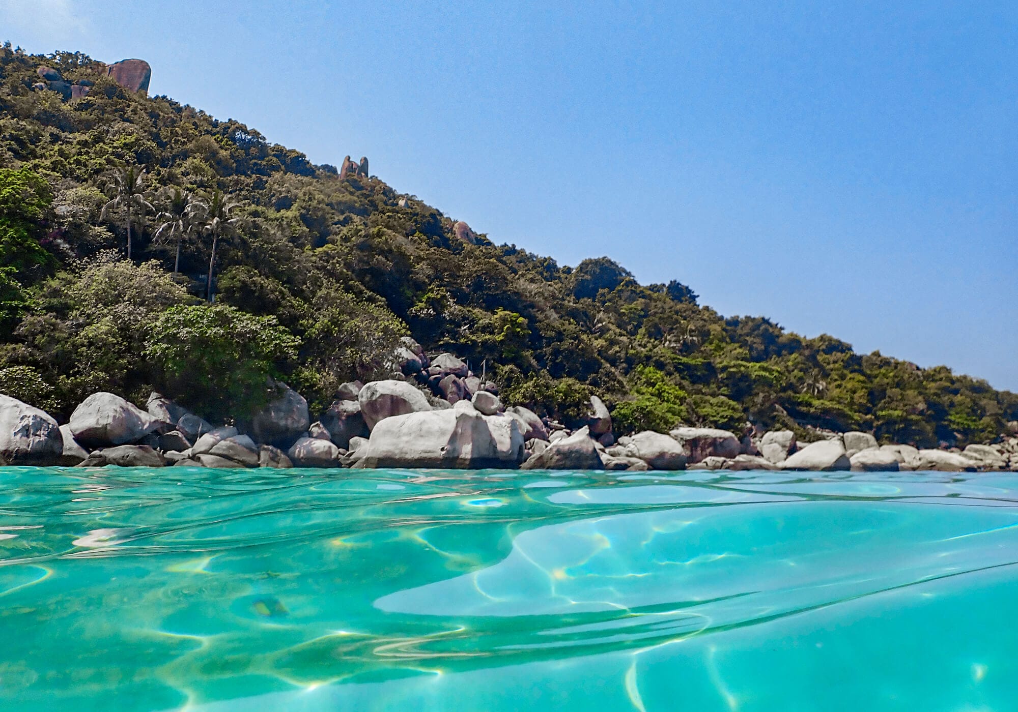 Snorkeling Japanese Gardens, Koh Tao