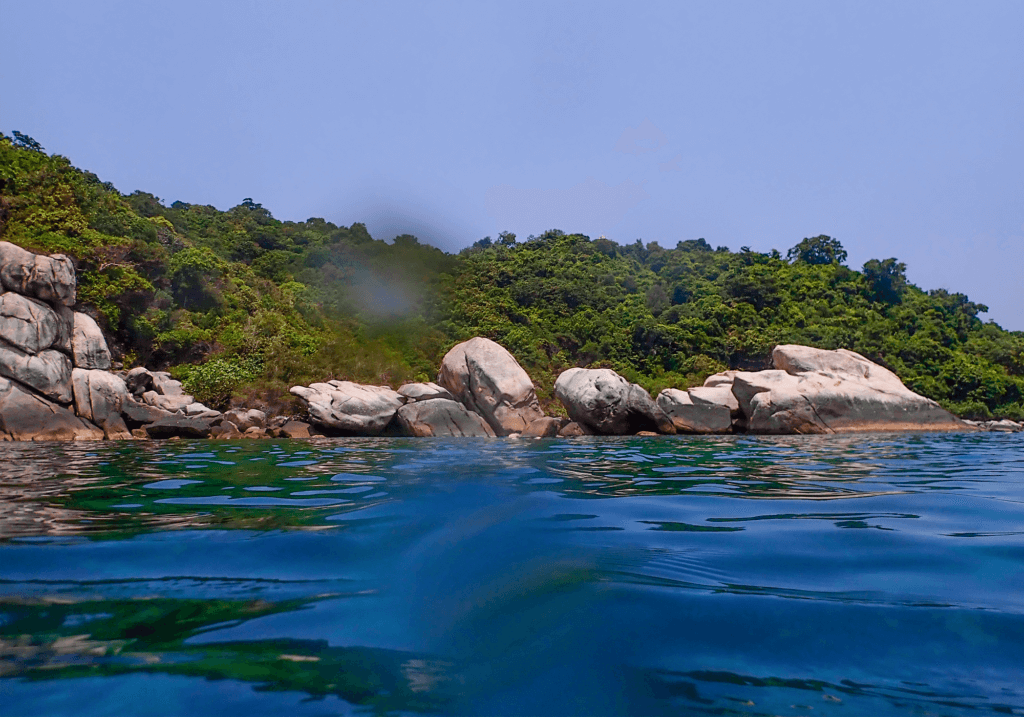Snorkel Spot, Lighthouse Bay, Koh Tao
