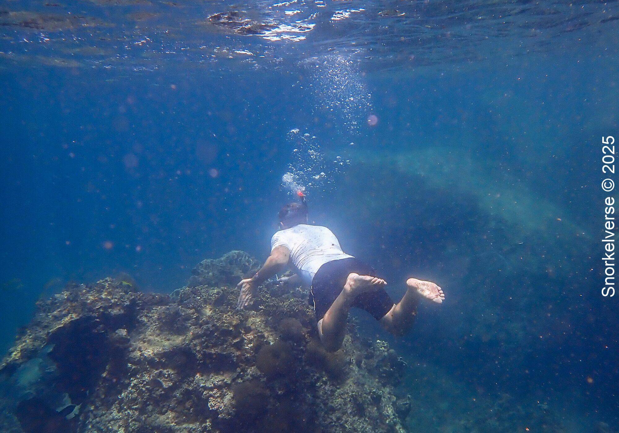 Luke Snorkeling, Hin Wong Bay, Koh Tao