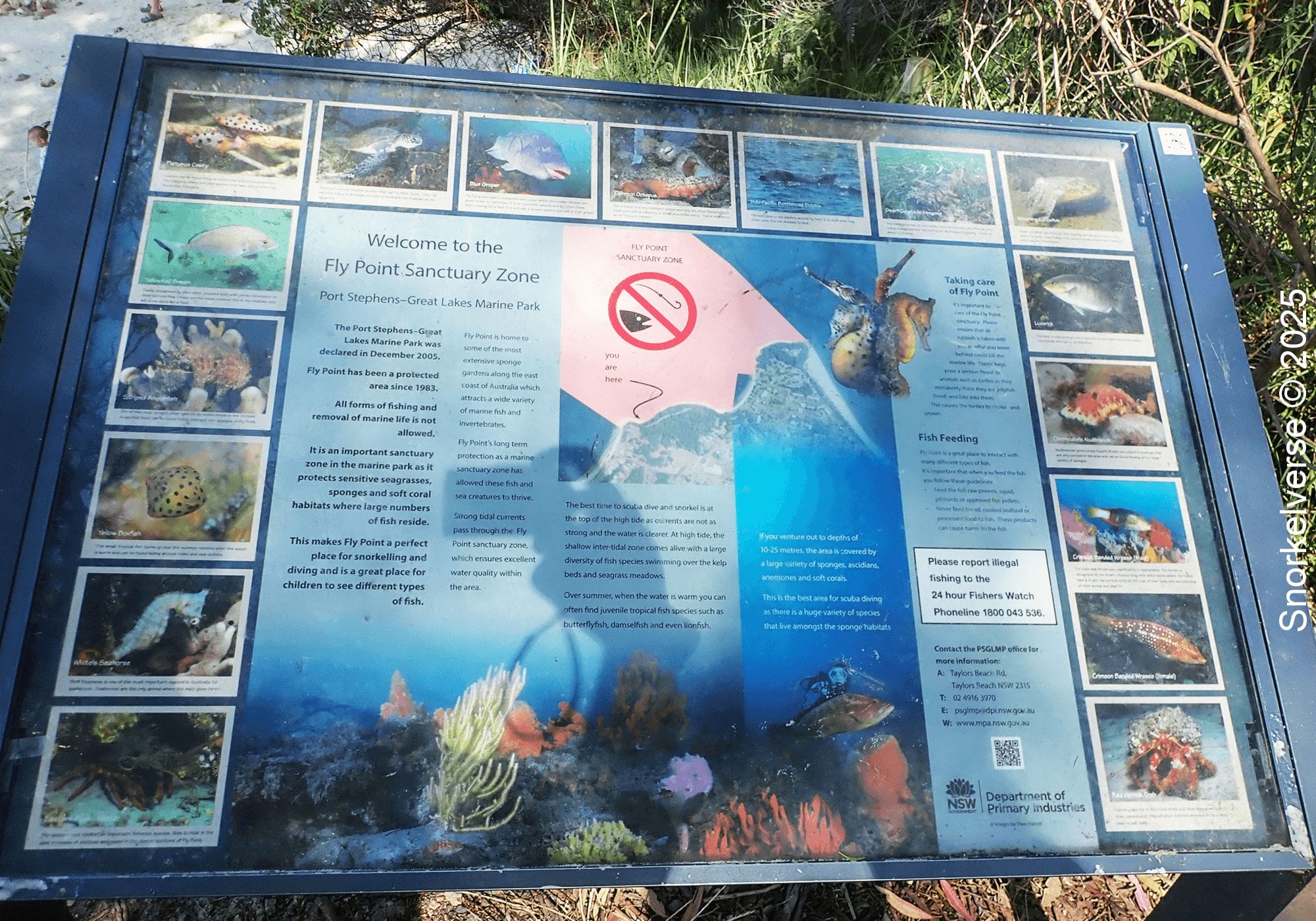 Marine Life Sign, Fly Point, Nelson Bay