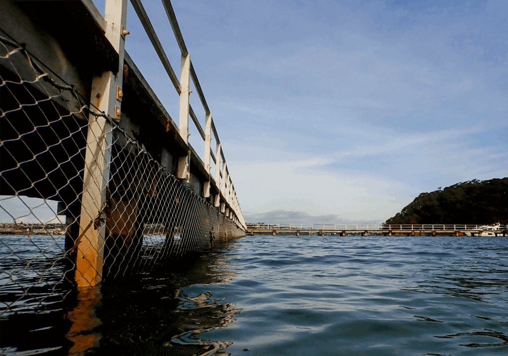 Snorkel Spot, Chowder Bay, Clifton Gardens, Sydney