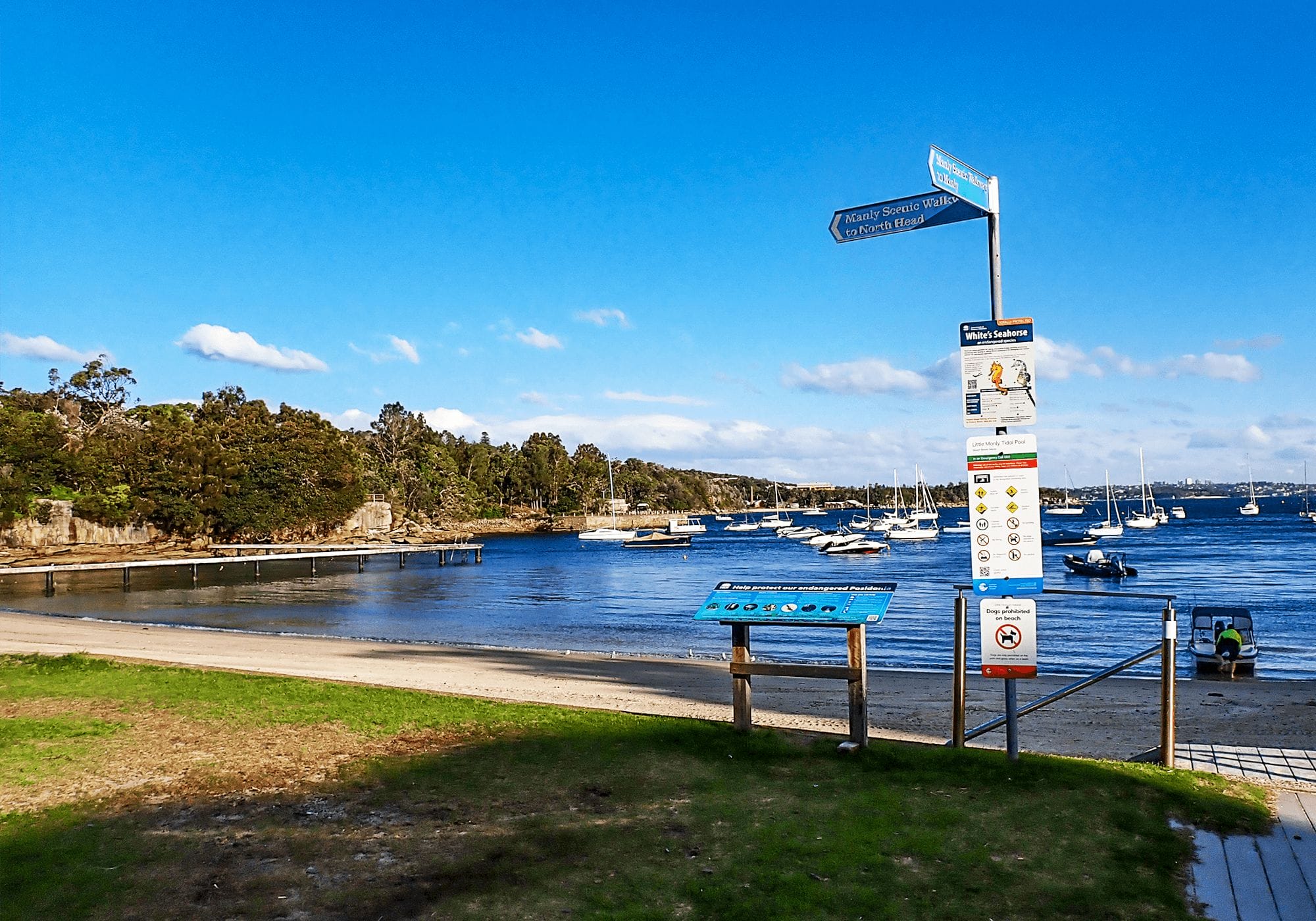 Snorkel Spot, Little Manly Beach, Manly
