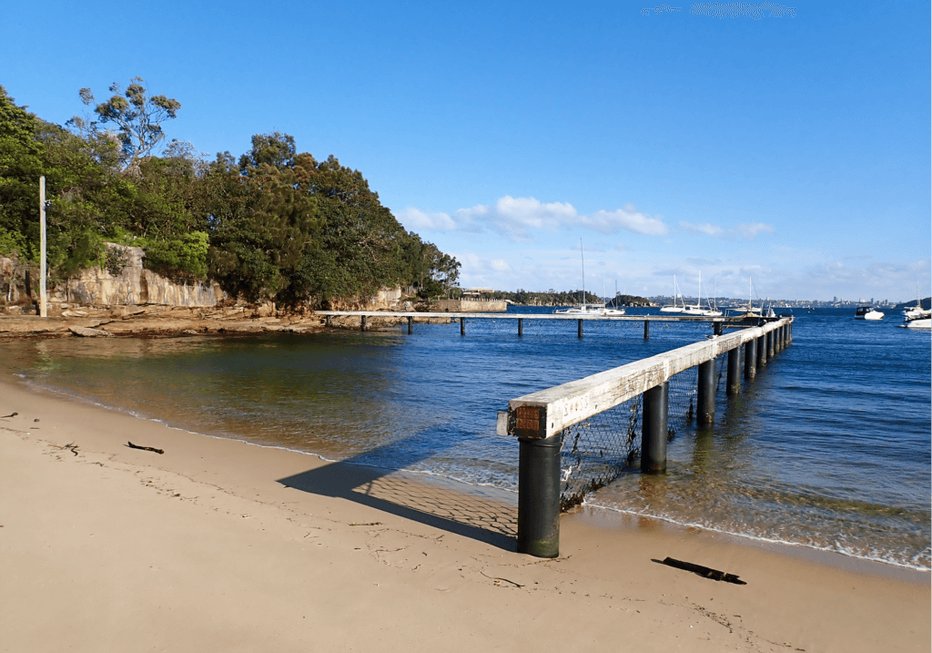 Snorkel Spot, Little Manly Beach