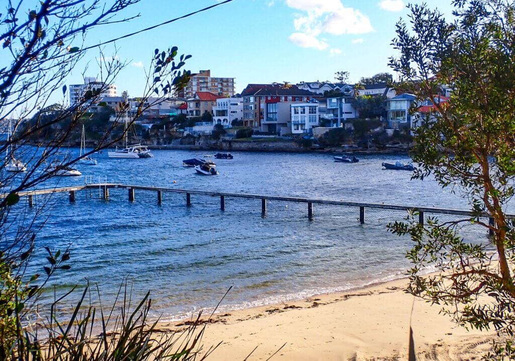 Snorkeling Little Manly Beach, Sydney 21 Snorkel spot, Little Manly Beach