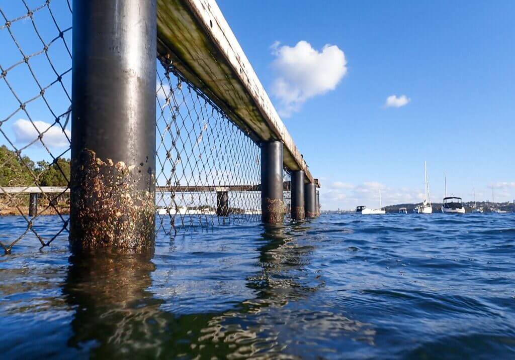 Snorkeling Little Manly Beach